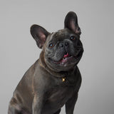 Gold Frenchie Pendant