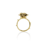 The Rosa Ring